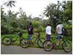 Timeless Bike Tours
