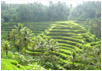 Best Bali Guide, your proffessional travel and guide